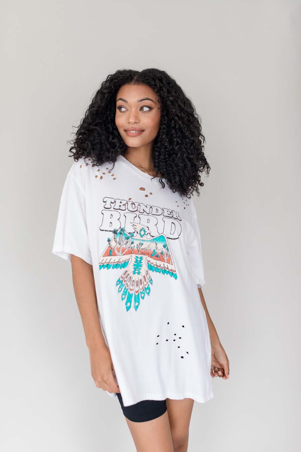 Thunder Bird Distressed Graphic, alternate, color, White