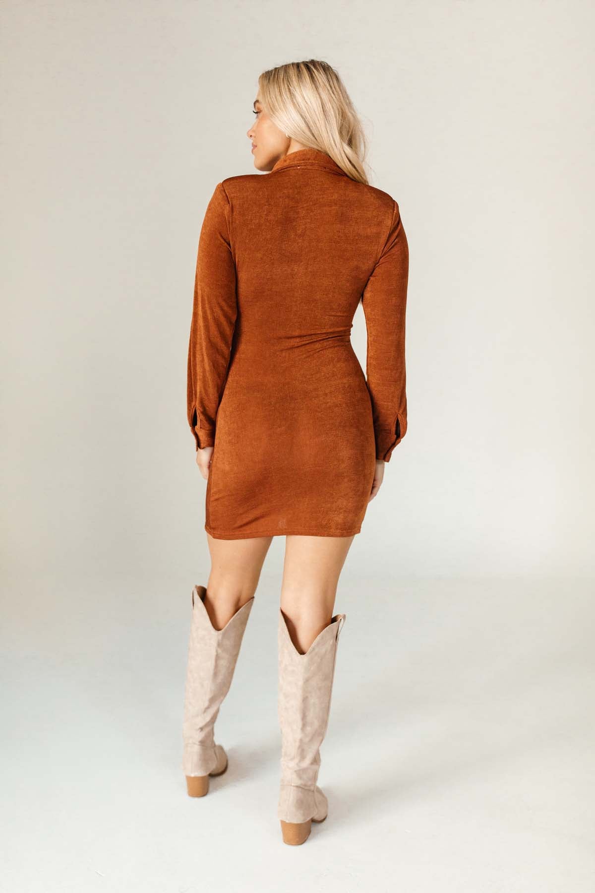 Erica Dress Rust, alternate, color, Rust