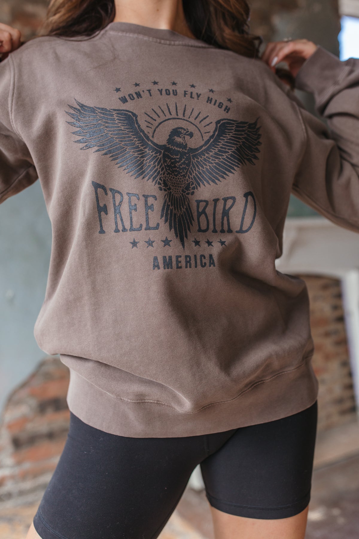 Vintage Free Bird Sweatshirt, Alternate, color, Washed Chocolate