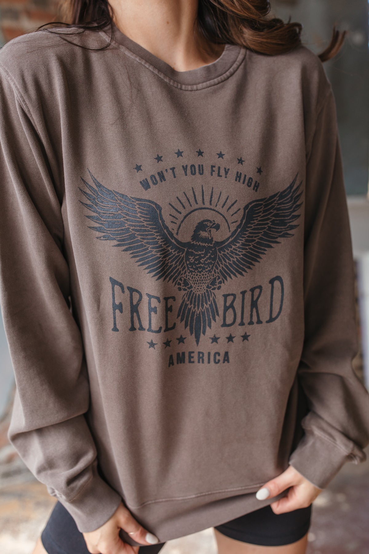 Vintage Free Bird Sweatshirt, Alternate, color, Washed Chocolate